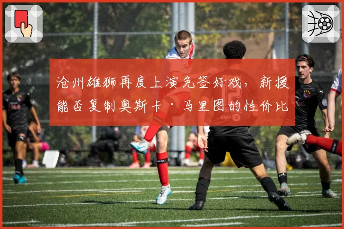 沧州雄狮再度上演免签好戏,新援能否复制奥斯卡·马里图的性价比奇迹?